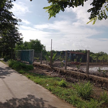 Bán 2ha đất CLN, ấp 3 xã Hiệp Phước, huyện Nhà Bè