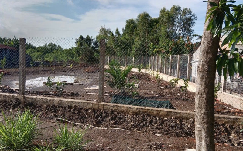 Bán 2ha đất CLN, ấp 3 xã Hiệp Phước, huyện Nhà Bè